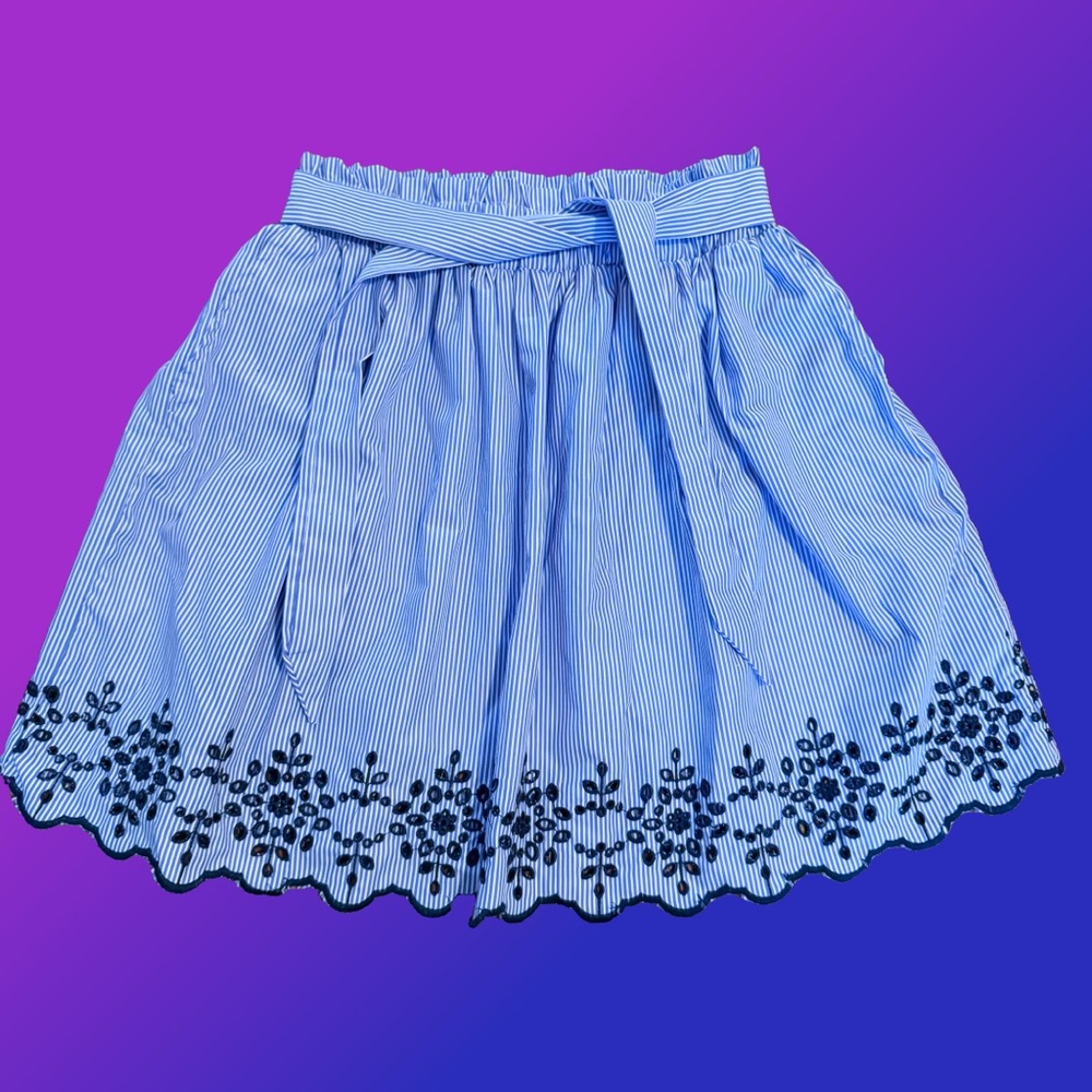Blue Striped Skirt with Floral Embroidery at Hem